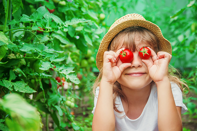 4 Garden-Fresh Recipes for Summer