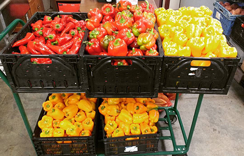 5 Reasons Your Friends Will Love You for Sending Our Meals