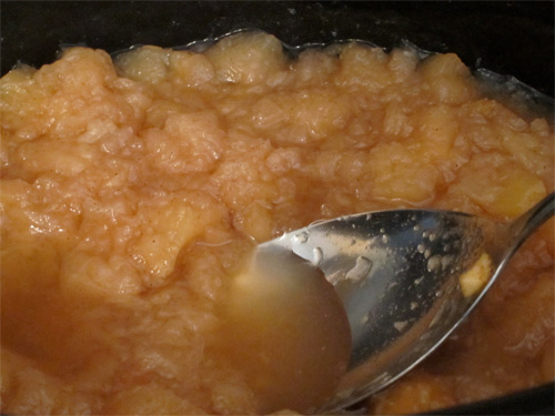 Crock Pot Apple Sauce