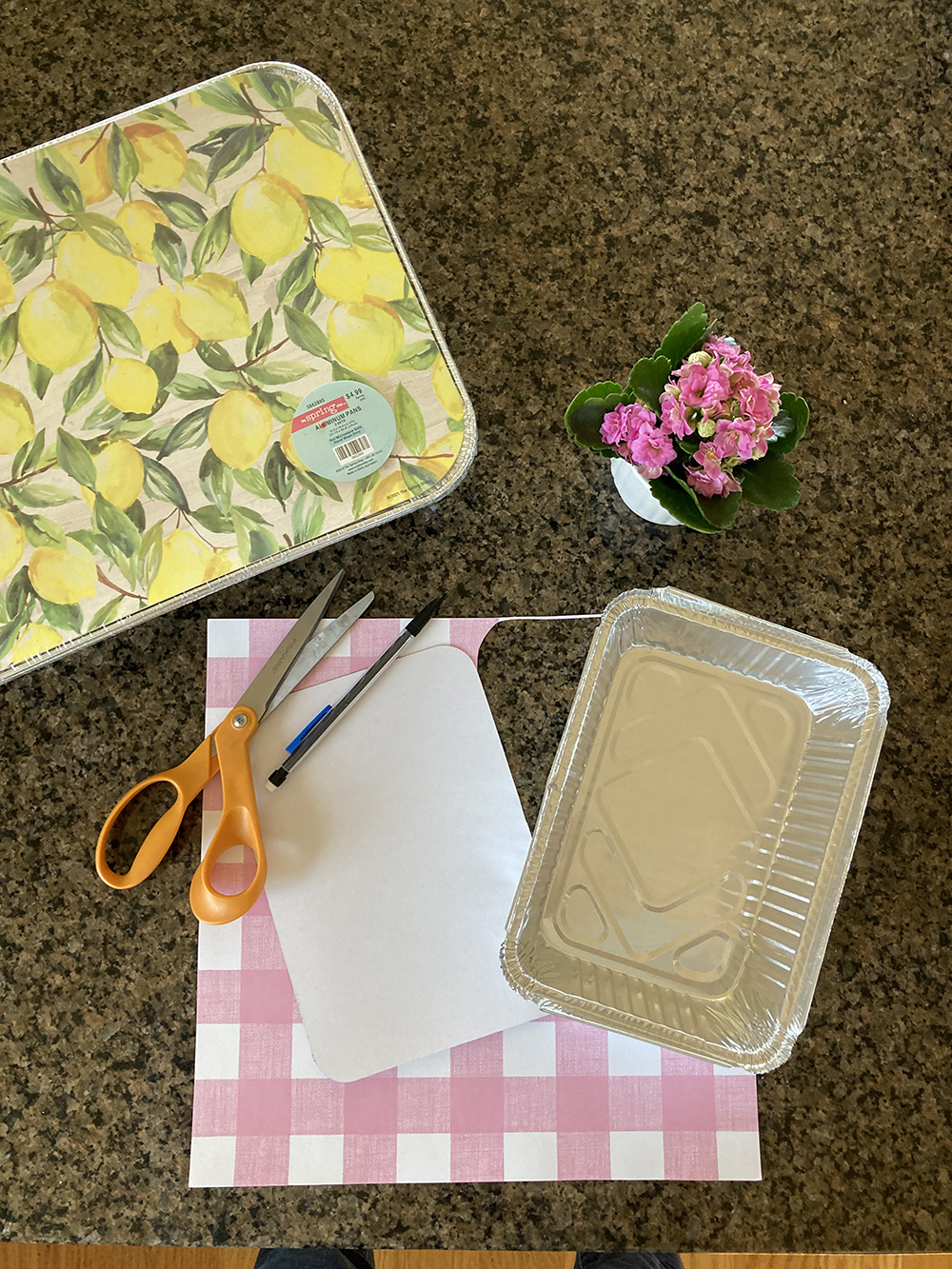 Cute DIY Meal Container Idea