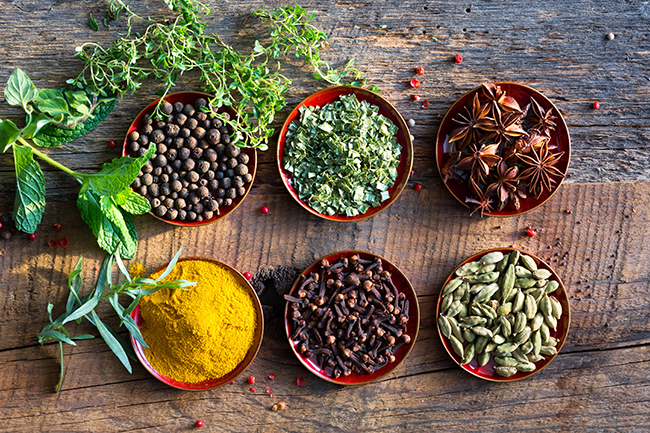 Our 7 Favorite Gifts of 2018