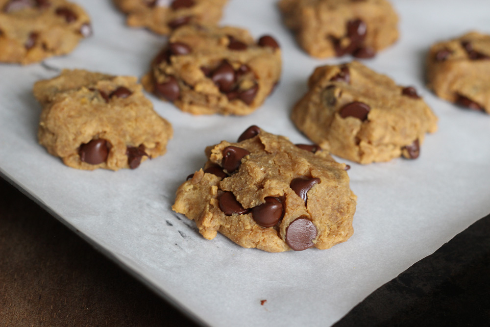 Grain Free Peanut Butter Chocolate Chip Cookie Dough Bites